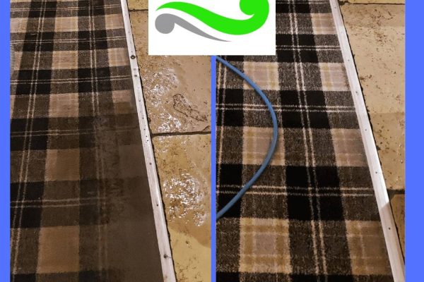 Carpet Cleaners in Galleywood
